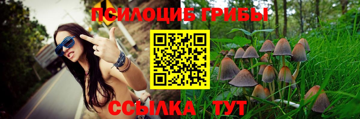 Галлюциногенные грибы Cubensis  Вход с VPN  Галлюциногенные грибы Psilocybine cubensis  Озёры 